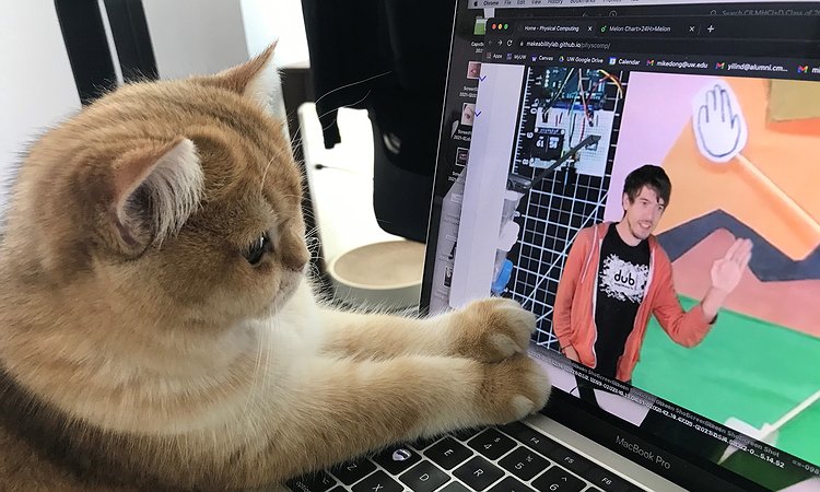 A picture of a cat using a laptop and visiting the Makeability Lab Physical Computing teaching website