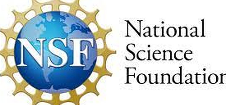 The NSF Logo