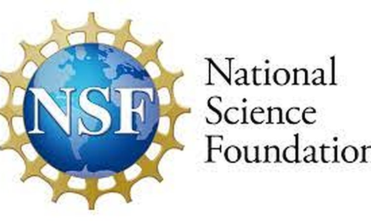 The NSF Logo