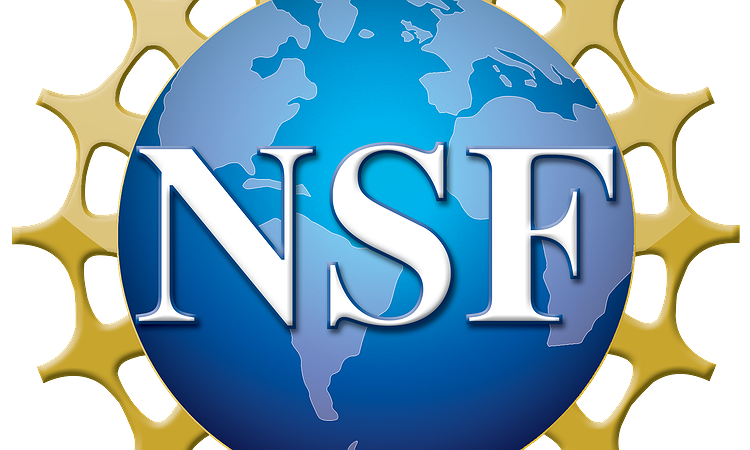 NSF logo