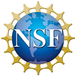 The NSF logo showing a globe centered primarily on the western hemisphere with white block letters saying "NSF" and a gear-like design in the background